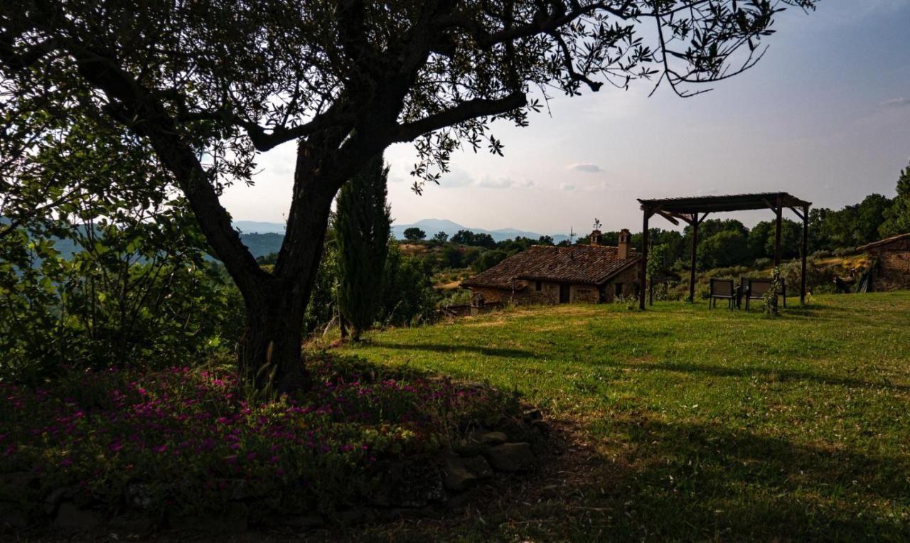 Il Casale Di Fiore Cannara ภายนอก รูปภาพ