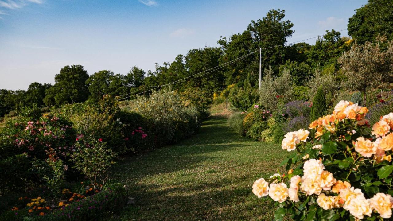 Il Casale Di Fiore Cannara ภายนอก รูปภาพ